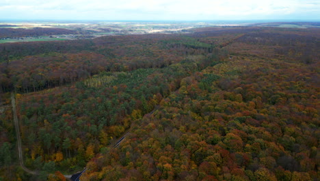 Aerial-drone-footage-over-a-Polish-forest-in-autumn,-showcasing-the-vibrant-transition-of-leaves-from-green-to-red