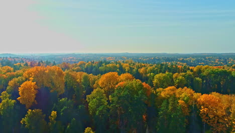 Vista-Aérea-Del-Follaje-Iluminado-Por-Una-Luz-Suave,-Hermoso-Bosque-En-Letonia,-Paisaje-Otoñal