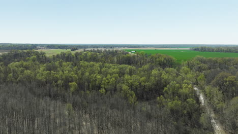 Naturlandschaft-Des-Lower-Hatchie-National-Wildlife-Refuge-In-Tennessee,-USA