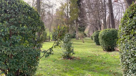 We-see-an-area-with-hedges-cut-in-a-round-shape-with-various-trees-and-bushes-with-a-green-ground-and-with-a-turn-of-the-camera-we-end-up-on-a-dirt-road-and-cypresses-in-the-background