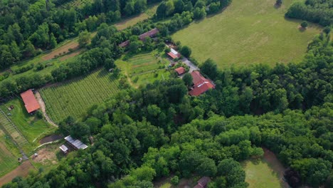 Vista-Aérea-Alrededor-De-Una-Bodega,-En-El-Soleado-Piamonte,-Italia---Dando-Vueltas,-Disparo-De-Drone