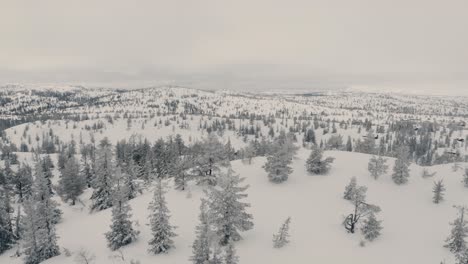 Drone-shot-in-the-snowcovered-mountains-in-Norway-with-small-trees-revealing-small-cabins-and-huts-in-a-cloudy-day