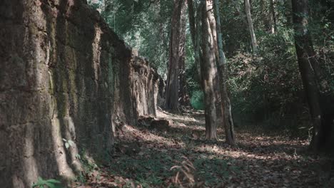 Antiguas-Ruinas-De-Piedra-En-Medio-De-Un-Denso-Bosque-En-Angkor-Wat,-Camboya,-Ambiente-Misterioso-Y-Tranquilo,-Luz-Del-Día