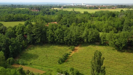 Aerial-view-over-forest-and-plantations,-revealing-a-winery-in-Piedmont,-Italy---circling,-drone-shot