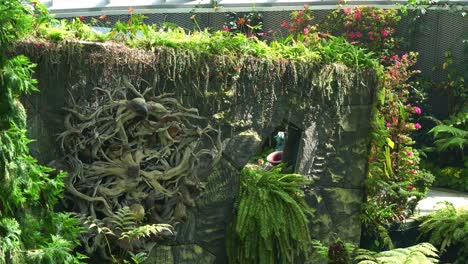 People-visiting-the-Cloud-Forest-greenhouse-conservatory-at-Gardens-by-the-bay,-the-iconic-attraction-of-Singapore