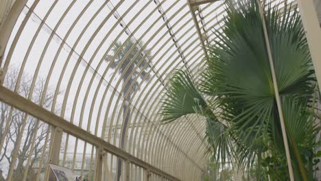 Gewächshaus-Im-National-Botanic-Gardens-Of-Ireland-In-Der-Stadt-Glasnevin