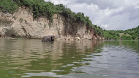Elefante-Africano-Caminando-En-El-Lago-En-El-Parque-Nacional-Reina-Elizabeth-En-Uganda