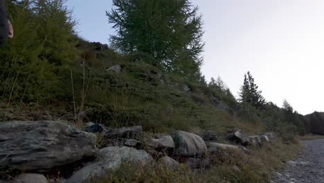 Male-Hiking-Along-Gravel-Path-With-Backpack-Holding-Camera-In-Valmalenco-Region,-Italy