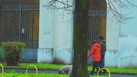 Couple-and-their-pet-outdoors-for-leisurely-stroll