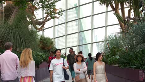 Tourists-from-all-over-the-world-visit-the-landmark-attraction,-world-largest-glass-greenhouse-Flower-Dome-conservatory-at-Gardens-by-the-bay,-static-shot