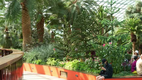 Vista-Panorámica-Que-Captura-A-Los-Turistas-Que-Visitan-La-Atracción-Histórica,-El-Invernadero-De-Cristal-Más-Grande-Del-Mundo-Con-Cúpula-De-Flores-En-Los-Jardines-Junto-A-La-Bahía