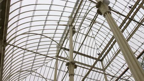 Detail-of-the-metal-and-glass-structure-Greenhouse-at-the-National-Botanic-Gardens-of-Ireland