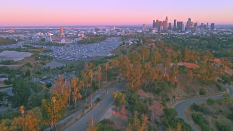 Palmen-Im-Elysian-Park-–-Drohnen-Orbitflug-über-Die-Skyline-Der-Innenstadt-Von-Los-Angeles-Und-Das-Dodger-Stadion