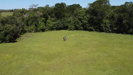 Wandern-Reisende-Freunde-Mit-Rucksäcken-In-Die-Wilde-Natur-An-Einem-Sonnigen-Tag