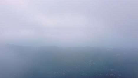 Aerial-landscape-view-of-dense-forest-in-the-morning-on-foggy-day-by-drone