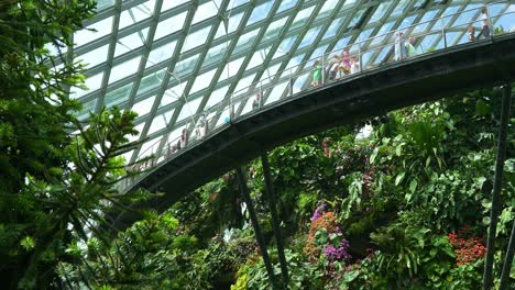 Tilt-up-panning-view-capturing-the-aerial-walkway-of-the-lost-world-Cloud-Forest-greenhouse-conservatory-at-Garden-by-the-bay,-Singapore