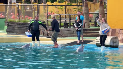 Delfines-En-Cautiverio-Alimentándose-Y-Fotos-Turísticas-Tiempo-En-Selwo-Marina-España