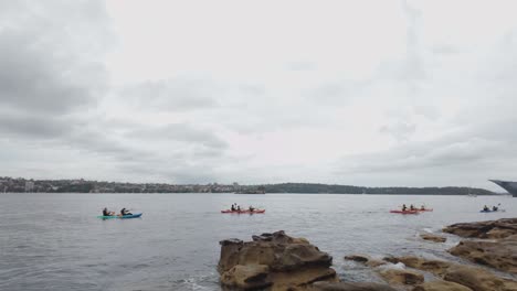 Kajakfahren-In-Der-Gruppe-Im-Hafen-Von-Sydney-An-Einem-Bewölkten-Und-Windigen-Tag