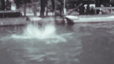 Un-Hombre-Rana-Salta-De-Un-Trampolín-Al-Lago-En-El-Verano-De-La-Década-De-1930.