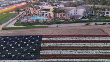 Carlsbad-Flower-Fields-Drone-Top-To-Bottom-Flyover-United-States-Floral-US-Flag-Next-to-Hotel-With-Pool-Red-White-Blue