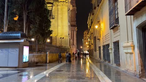 Calles-De-Málaga-España-De-Noche-Costa-Del-Sol-Vida-Nocturna-Ciudad-Española