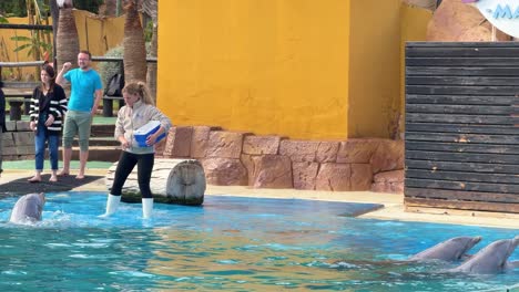 Dolphin-trainer-feeding-mammal-captivity-Selwo-marina-Benalmádena-Spain