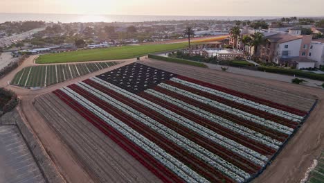 Diagonaler-Drohnenflug-über-Florale-US-Flagge-Auf-Den-Blumenfeldern-Von-Carlsbad-Von-Der-Unteren-Rechten-Ecke-Nach-Oben-Links,-In-Der-Nähe-Von-Grünem-Feld-Und-Hotel-Mit-Pool