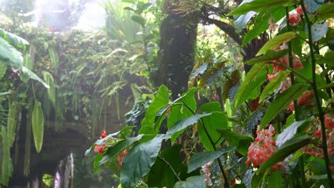 Toma-Inclinada-Del-Misterioso-Paisaje-Del-Invernadero-Del-Bosque-Nuboso-Del-Mundo-Perdido-En-El-Jardín-Junto-A-La-Bahía,-Ambiente-Brumoso-Con-Exuberantes-Copas-De-árboles-Y-Gente-Caminando-Por-La-Pasarela-Aérea