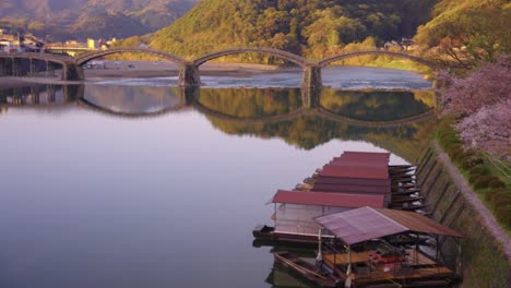 Neigungsansicht-Der-Kintaikyo-Brücke-Von-Iwakuni-Im-Frühlingsmorgengrauen,-Sakura-In-Voller-Blüte