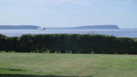Shrubs-in-front-of-the-Puget-Sound-with-a-ferry-commuting-in-the-distance