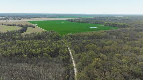 Nature-Landscape-Of-Lower-Hatchie-National-Wildlife-Refuge-In-Tennessee,-USA---Aerial-Drone-Shot