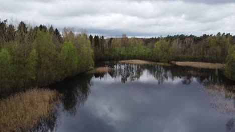 Vista-Aérea-Panorámica-A-Través-De-Algunos-árboles-En-Un-Pequeño-Lago-En-El-Bosque-Belga-Con-Campos-Agrícolas