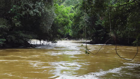 River-Flowing-Through-the-Lush-Rainforest-Forest-Landscape