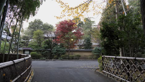 Bosque-De-Bambú-En-Un-Antiguo-Templo-En-Tokio,-Se-Siente-Una-Energía-única-Al-Caminar-A-Través-De-Su-Sombra.