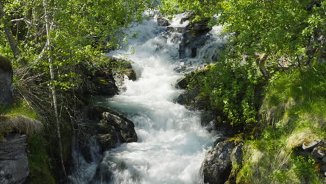 Pequeño-Río-En-Verano,-Hierba-Verde,-Agua-Fría