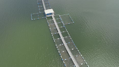 Cage-fish-farming.-Aerial-top-down-forward