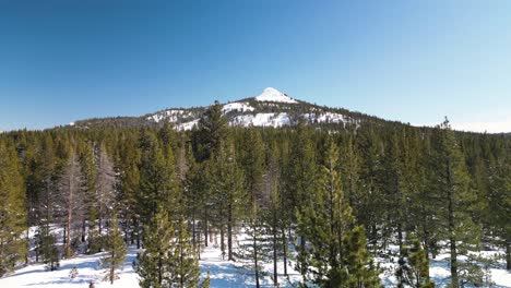 Aerial-view-of-pine-tree-wilderness-with-mountain-top-in-Hope-Valley,-California