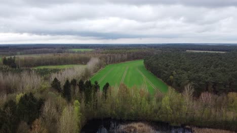 Luftaufnahme-über-Einer-Malerischen-Landschaft-Nahe-Der-Niederländischen-Grenze-Mit-Blick-Auf-Einen-Teich-Und-Landwirtschaftliche-Felder-In-Belgien
