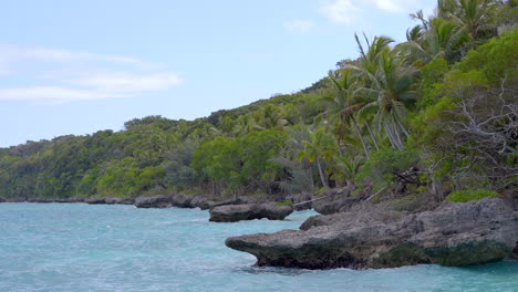 Rocky-coast-with-blue-water-and-palms