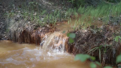 Muddy-spring-colored-brown-due-to-high-iron-and-sulfur-content