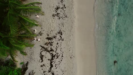 Toma-Aérea-Larga-En-La-Playa-Frente-A-Las-Palmeras-Sobre-Las-Olas,-Riviera-Maya-Quintana-Roo-México