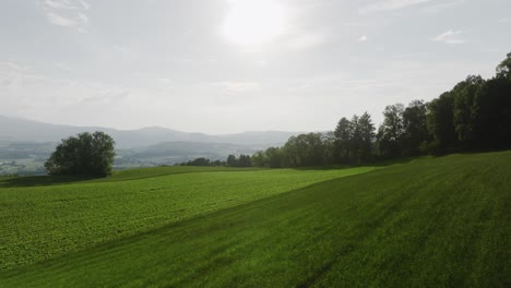 Luftaufnahme-Eines-Feldes-In-Der-Ländlichen-Schweiz