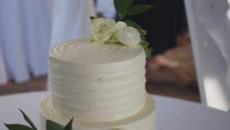 Bride-and-groom-cut-cake-at-reception
