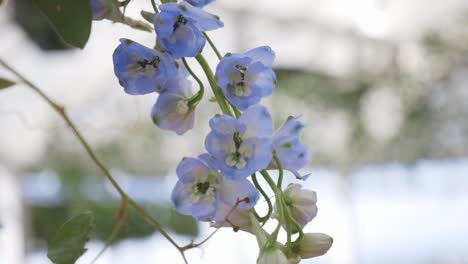 Flowers-blow-in-wind-outdoor-ceremony