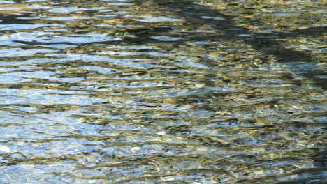 Glistening-ripples-dance-across-a-river's-surface,-reflecting-the-light-and-casting-a-mosaic-of-moving-patterns