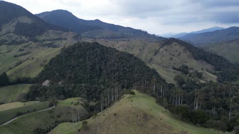 Dichter-Wald-Im-Bergigen-Valle-De-La-Samaria-In-Der-Nähe-Der-Stadt-Salamina-Im-Departement-Caldas-Der-Kaffeeachse-In-Kolumbien