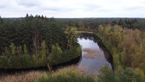 Aerial-view-above-lake-with-island-with-scenic-alpine-forest-landscape-at-the-dutch-and-belgian-border