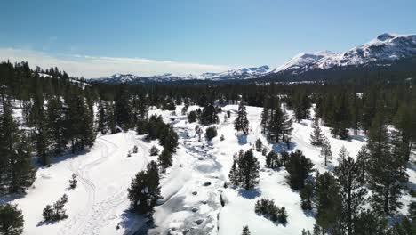 Aerial-view-of-West-Fork-Carson-River-in-winter,-Hope-Valley,-California