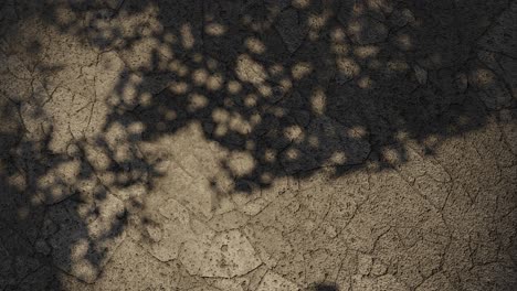 head-dry-desert-lack-of-water-tree-shade-on-dry-ground-loop-animation-rendering