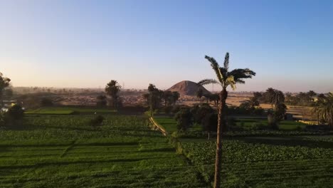 Vuelo-Aéreo-Sobre-Las-Verdes-Llanuras-De-Luxor,-Donde-Los-Exuberantes-Paisajes-Reflejan-La-Fertilidad-Duradera-De-Las-Orillas-Del-Nilo.